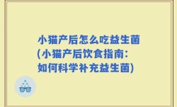 小猫产后怎么吃益生菌(小猫产后饮食指南：如何科学补充益生菌)
