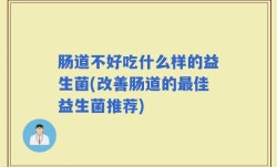 肠道不好吃什么样的益生菌(改善肠道的最佳益生菌推荐)