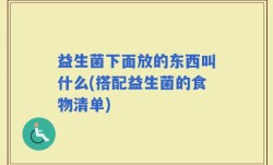 益生菌下面放的东西叫什么(搭配益生菌的食物清单)