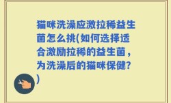 猫咪洗澡应激拉稀益生菌怎么挑(如何选择适合激励拉稀的益生菌，为洗澡后的猫咪保健？)
