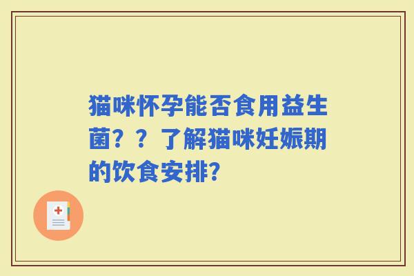 猫咪怀孕能否食用益生菌？？了解猫咪妊娠期的饮食安排？