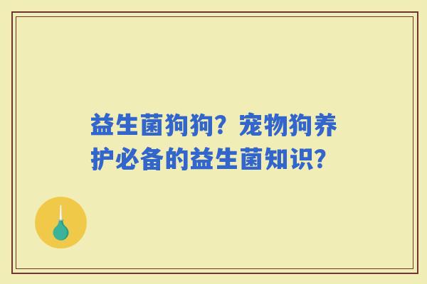 益生菌狗狗？宠物狗养护必备的益生菌知识？
