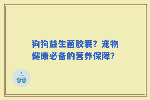 狗狗益生菌胶囊？宠物健康必备的营养保障？