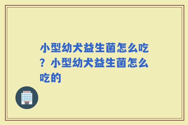 小型幼犬益生菌怎么吃？小型幼犬益生菌怎么吃的