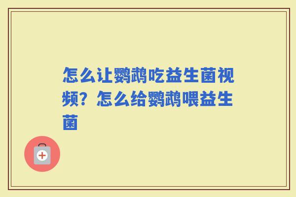怎么让鹦鹉吃益生菌视频？怎么给鹦鹉喂益生菌