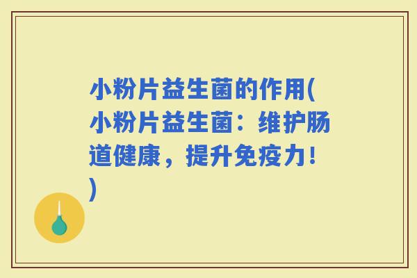 小粉片益生菌的作用(小粉片益生菌：维护肠道健康，提升力！)