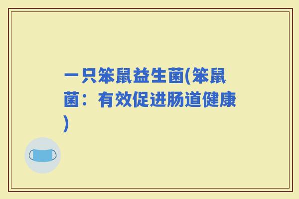 一只笨鼠益生菌(笨鼠菌：有效促进肠道健康)
