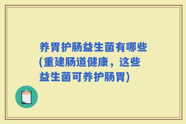 养胃护肠益生菌有哪些(重建肠道健康，这些益生菌可养护肠胃)