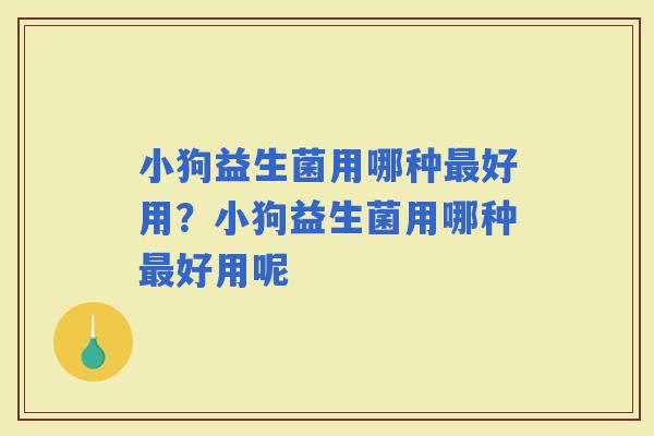小狗益生菌用哪种好用？小狗益生菌用哪种好用呢