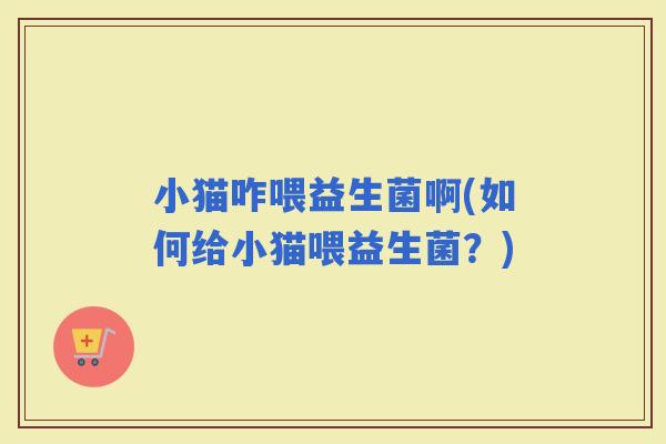 小猫咋喂益生菌啊(如何给小猫喂益生菌？)