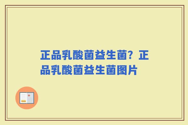 正品乳酸菌益生菌？正品乳酸菌益生菌图片