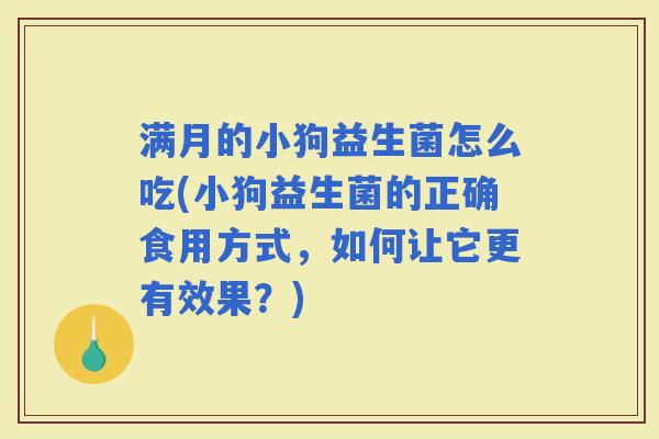 满月的小狗益生菌怎么吃(小狗益生菌的正确食用方式,如何让它更有效果?) 满月的小狗益生菌怎么吃(小狗益生菌的正确食用方式,如何让它更有效果?)