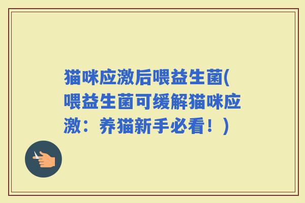 猫咪应激后喂益生菌(喂益生菌可缓解猫咪应激：养猫新手必看！)
