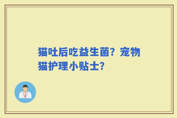 猫吐后吃益生菌？宠物猫护理小贴士？