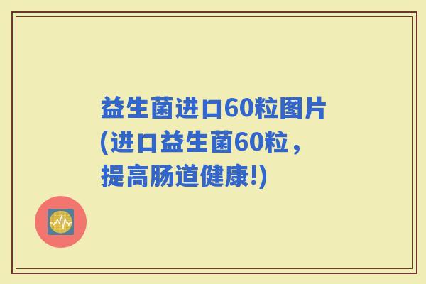 益生菌进口60粒图片(进口益生菌60粒，提高肠道健康!)