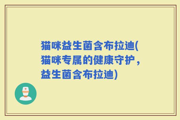 猫咪益生菌含布拉迪(猫咪专属的健康守护，益生菌含布拉迪)