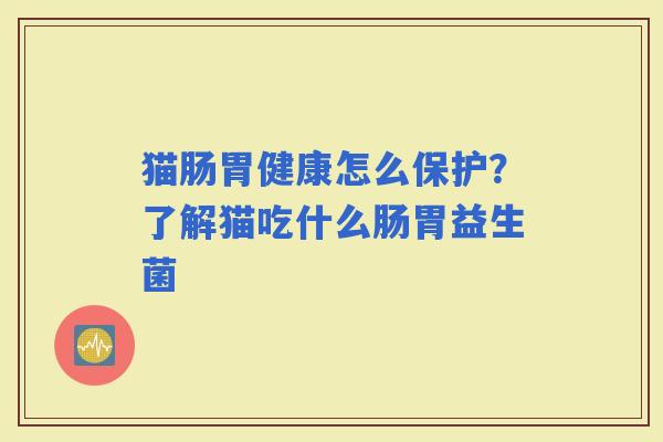 猫肠胃健康怎么保护？了解猫吃什么肠胃益生菌