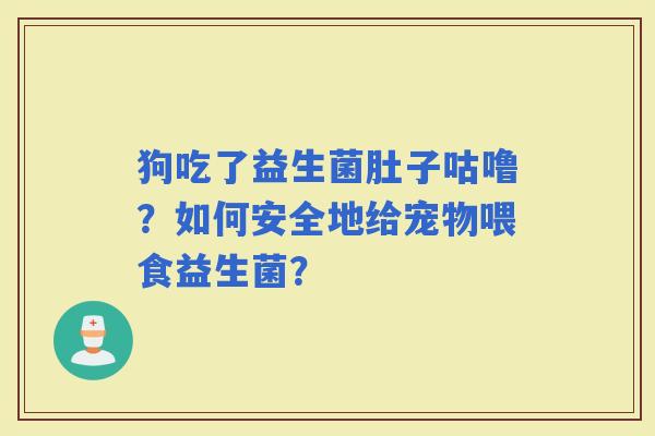 狗吃了益生菌肚子咕噜？如何安全地给宠物喂食益生菌？