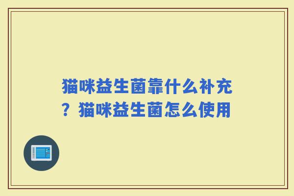 猫咪益生菌靠什么补充？猫咪益生菌怎么使用