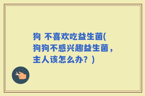 狗 不喜欢吃益生菌(狗狗不感兴趣益生菌，主人该怎么办？)