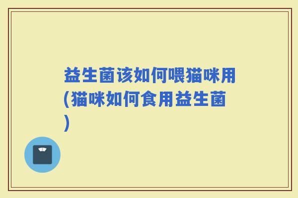 益生菌该如何喂猫咪用(猫咪如何食用益生菌)
