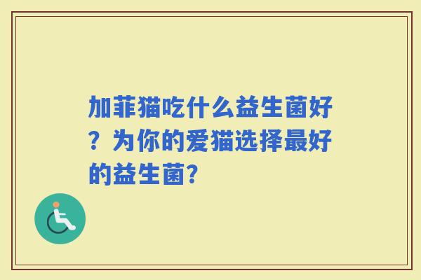 加菲猫吃什么益生菌好？为你的爱猫选择好的益生菌？