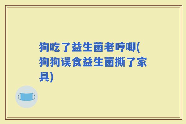 狗吃了益生菌老哼唧(狗狗误食益生菌撕了家具)