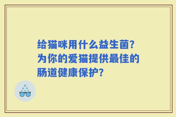 给猫咪用什么益生菌？为你的爱猫提供佳的肠道健康保护？