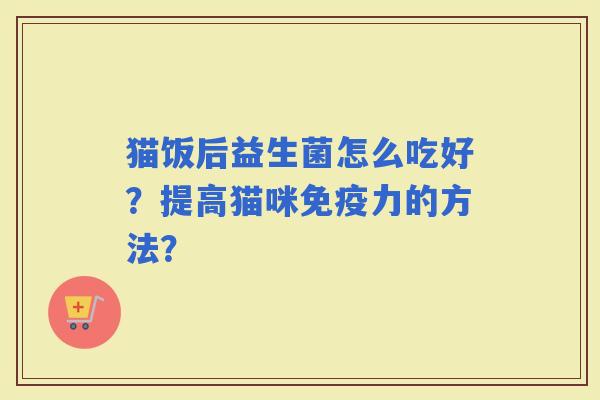 猫饭后益生菌怎么吃好？提高猫咪力的方法？
