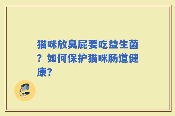 猫咪放臭屁要吃益生菌？如何保护猫咪肠道健康？