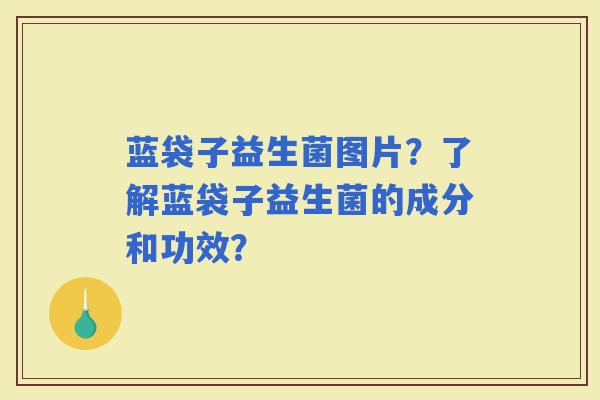 蓝袋子益生菌图片？了解蓝袋子益生菌的成分和功效？