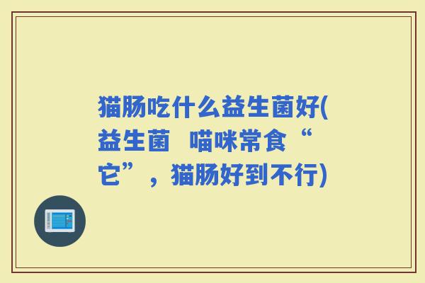 猫肠吃什么益生菌好(益生菌  喵咪常食“它”，猫肠好到不行)
