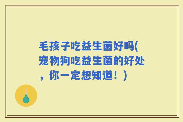 毛孩子吃益生菌好吗(宠物狗吃益生菌的好处，你一定想知道！)