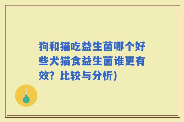 狗和猫吃益生菌哪个好些犬猫食益生菌谁更有效？比较与分析)