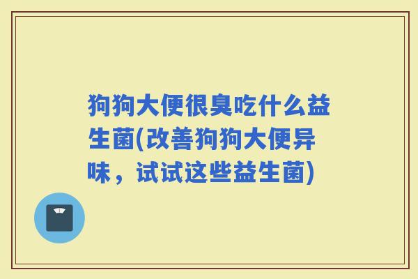 狗狗大便很臭吃什么益生菌(改善狗狗大便异味，试试这些益生菌)