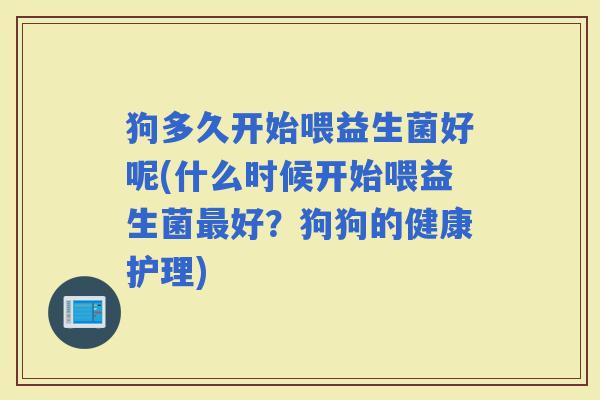 狗多久开始喂益生菌好呢(什么时候开始喂益生菌好？狗狗的健康护理)