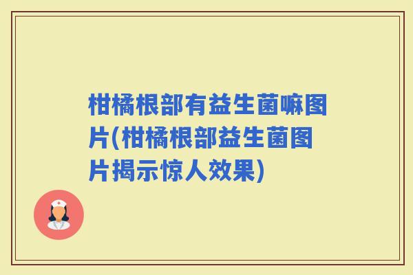 柑橘根部有益生菌嘛图片(柑橘根部益生菌图片揭示惊人效果)
