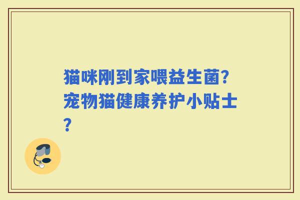 猫咪刚到家喂益生菌？宠物猫健康养护小贴士？