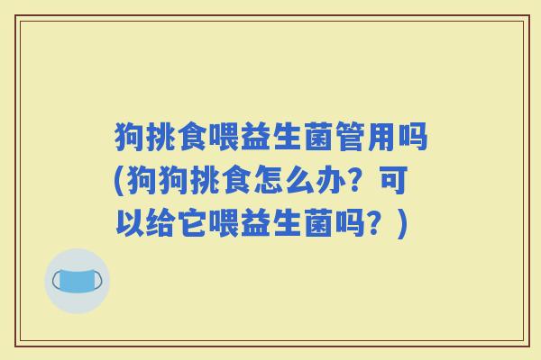 狗挑食喂益生菌管用吗(狗狗挑食怎么办？可以给它喂益生菌吗？)