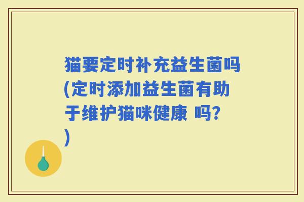 猫要定时补充益生菌吗(定时添加益生菌有助于维护猫咪健康 吗？)