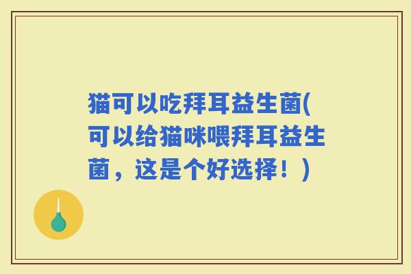猫可以吃拜耳益生菌(可以给猫咪喂拜耳益生菌，这是个好选择！)