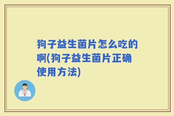 狗子益生菌片怎么吃的啊(狗子益生菌片正确使用方法)