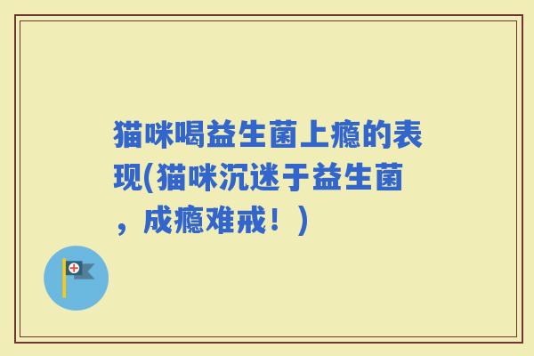 猫咪喝益生菌上瘾的表现(猫咪沉迷于益生菌，成瘾难戒！)