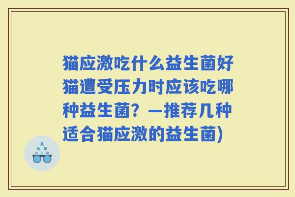 猫应激吃什么益生菌好猫遭受压力时应该吃哪种益生菌？—推荐几种适合猫应激的益生菌)