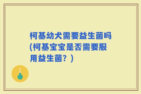 柯基幼犬需要益生菌吗(柯基宝宝是否需要服用益生菌？)