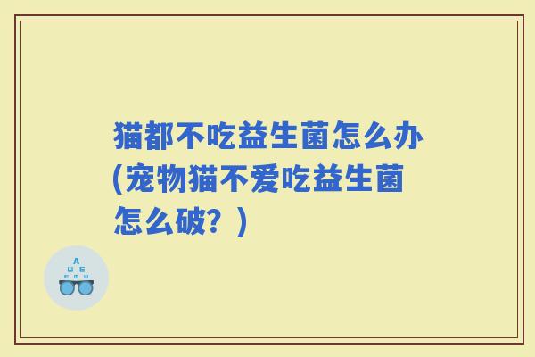 猫都不吃益生菌怎么办(宠物猫不爱吃益生菌怎么破?) 猫都不吃益生菌怎么办(宠物猫不爱吃益生菌怎么破?)