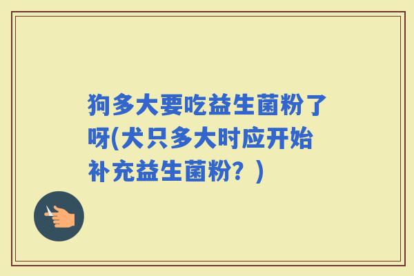 狗多大要吃益生菌粉了呀(犬只多大时应开始补充益生菌粉？)
