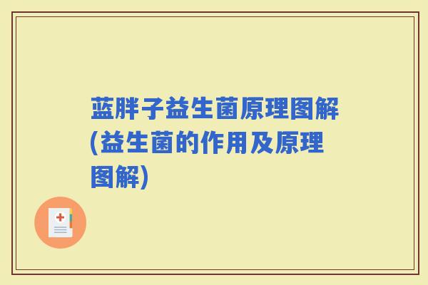 蓝胖子益生菌原理图解(益生菌的作用及原理图解)