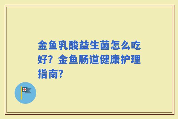 金鱼乳酸益生菌怎么吃好？金鱼肠道健康护理指南？