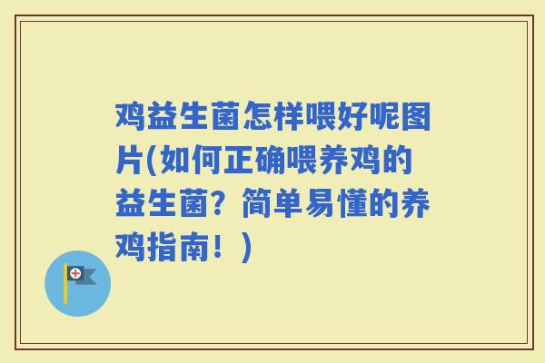 鸡益生菌怎样喂好呢图片(如何正确喂养鸡的益生菌？简单易懂的养鸡指南！)